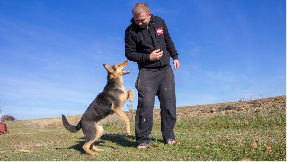man being confronted by large dog