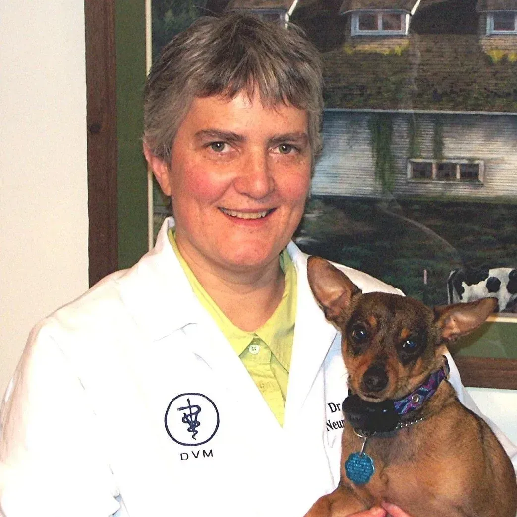 Veterinarian in white coat holds small dog. Smiling, in an office with painting of farm in the background.