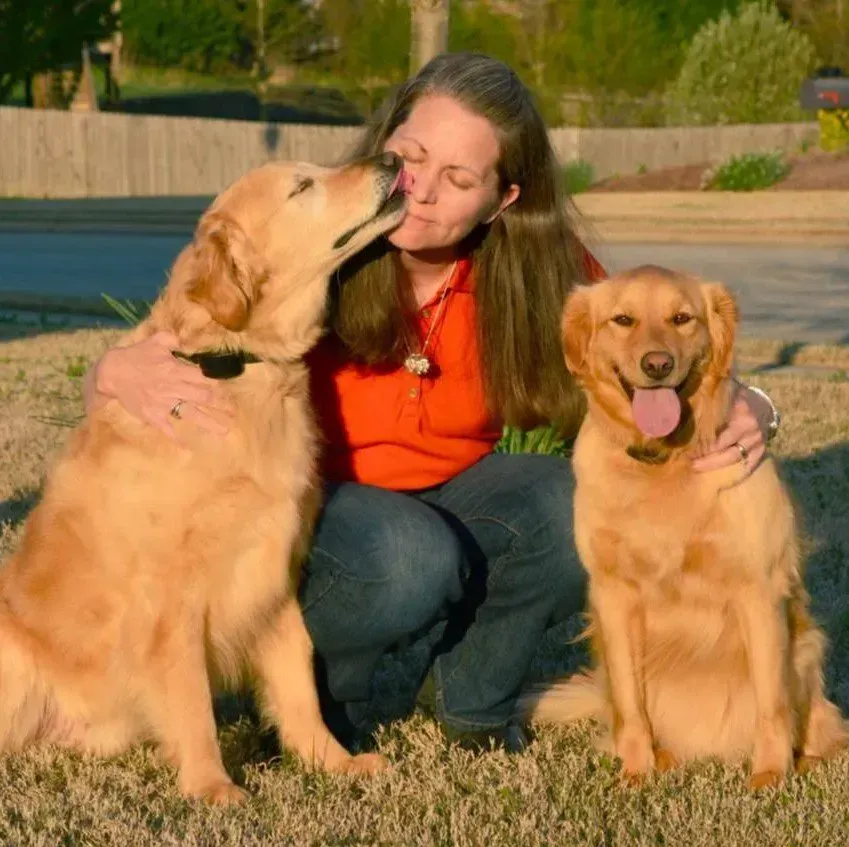 Woman kneels with two golden retrievers; one kisses her, the other smiles with tongue out, on grass.