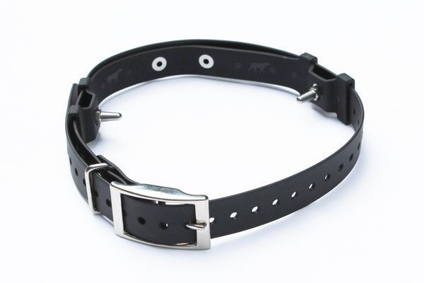 Stubborn Dog Collar