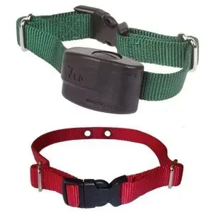 Collars / Straps