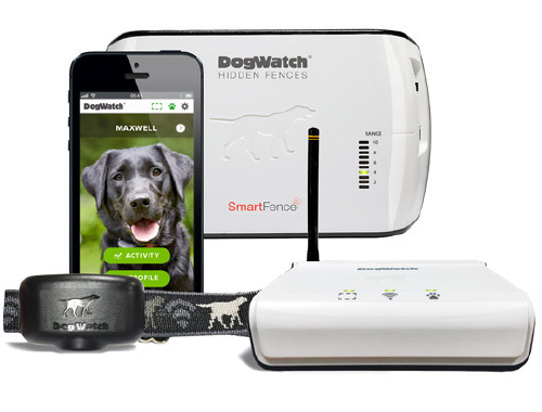 DogWatch hidden fence system: smartphone, collar, and base station. Black dog on phone screen.