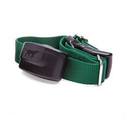 Green dog collar with a black electronic box, against a white background.