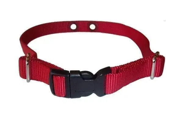 Red nylon dog collar with black plastic buckle.