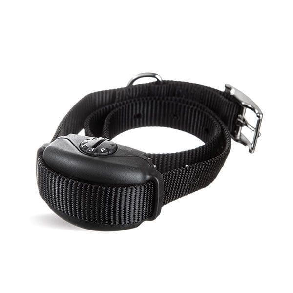 SideWalker® Leash Trainer