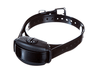 Black electronic dog training collar.