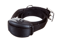 Black dog collar with a black electronic box on a white background.