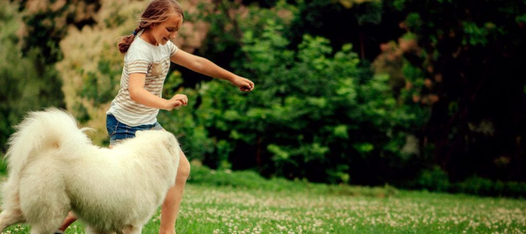 girl playing with dog