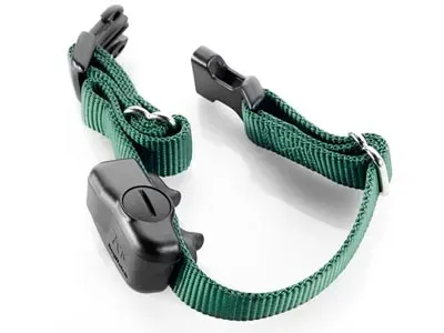 Green and black dog collar with a black control box attached.