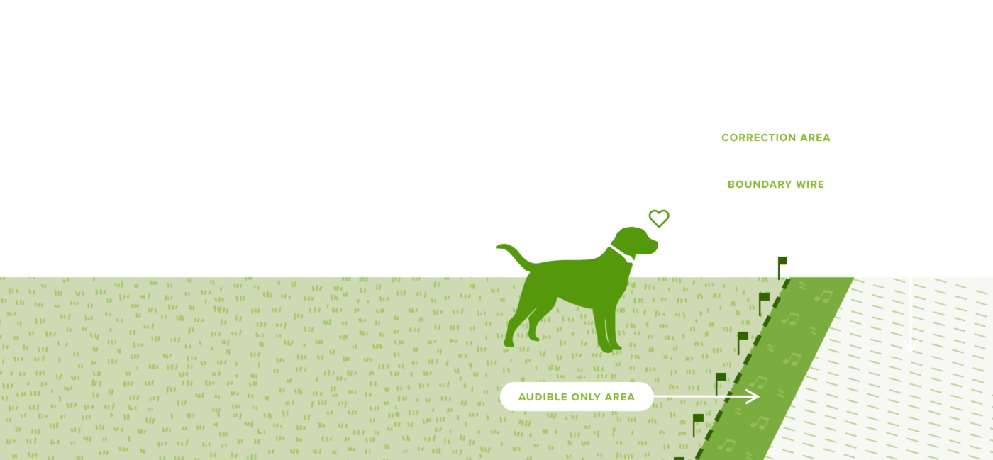 Green dog with a collar stands on grass, small flags mark the boundary.