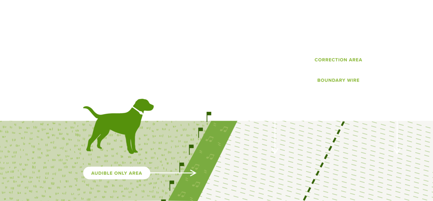 Green dog silhouette stands next to a green and white illustrated diagram with text.