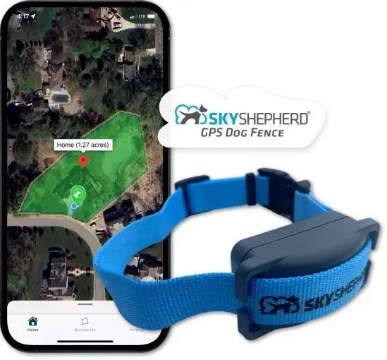 Smartphone showing a GPS dog fence map, with a blue dog collar and SkyShepherd logo.