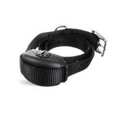 Black dog collar with a black electronic box attached.