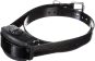 Black dog collar with a receiver.