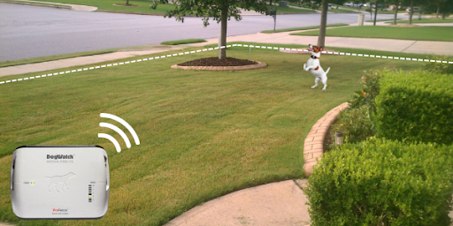 Invisible Dog Fence for Older Dogs