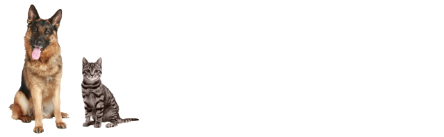A dog and a cat are sitting next to each other on a white background.