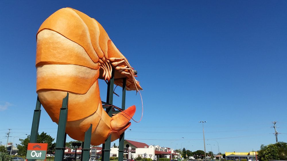 A Statue of A Shrimp with A Sign that Says Out — Lismore Floor Sanding in Ballina, NSW