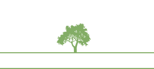 Capital City Law Green tree silhouette on white background with horizontal green lines.
