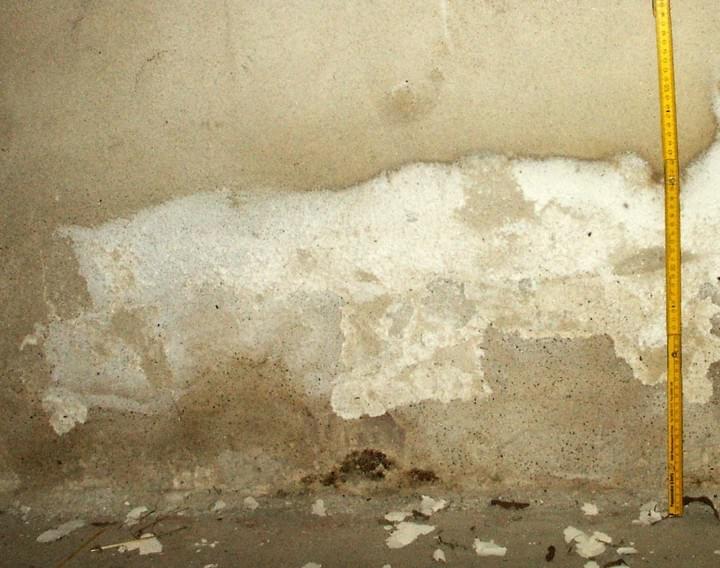 Beschädigte Wand mit weißen Ausblühungen und braunen Flecken in Bodennähe, gelber Messstab.