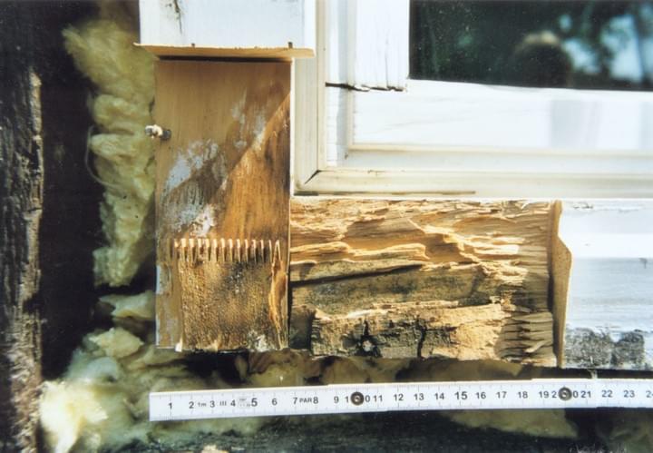Beschädigte Holzrahmenkonstruktion um ein Fenster, die Anzeichen von Fäulnis und Verfall aufweist.