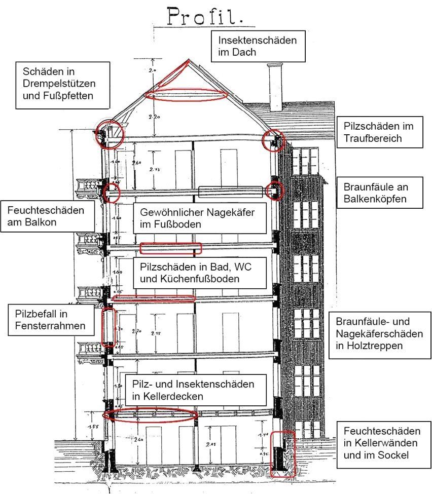 Diagramm eines Gebäudeprofils, das Schadensbereiche wie Feuchtigkeit und Insektenbefall zeigt.