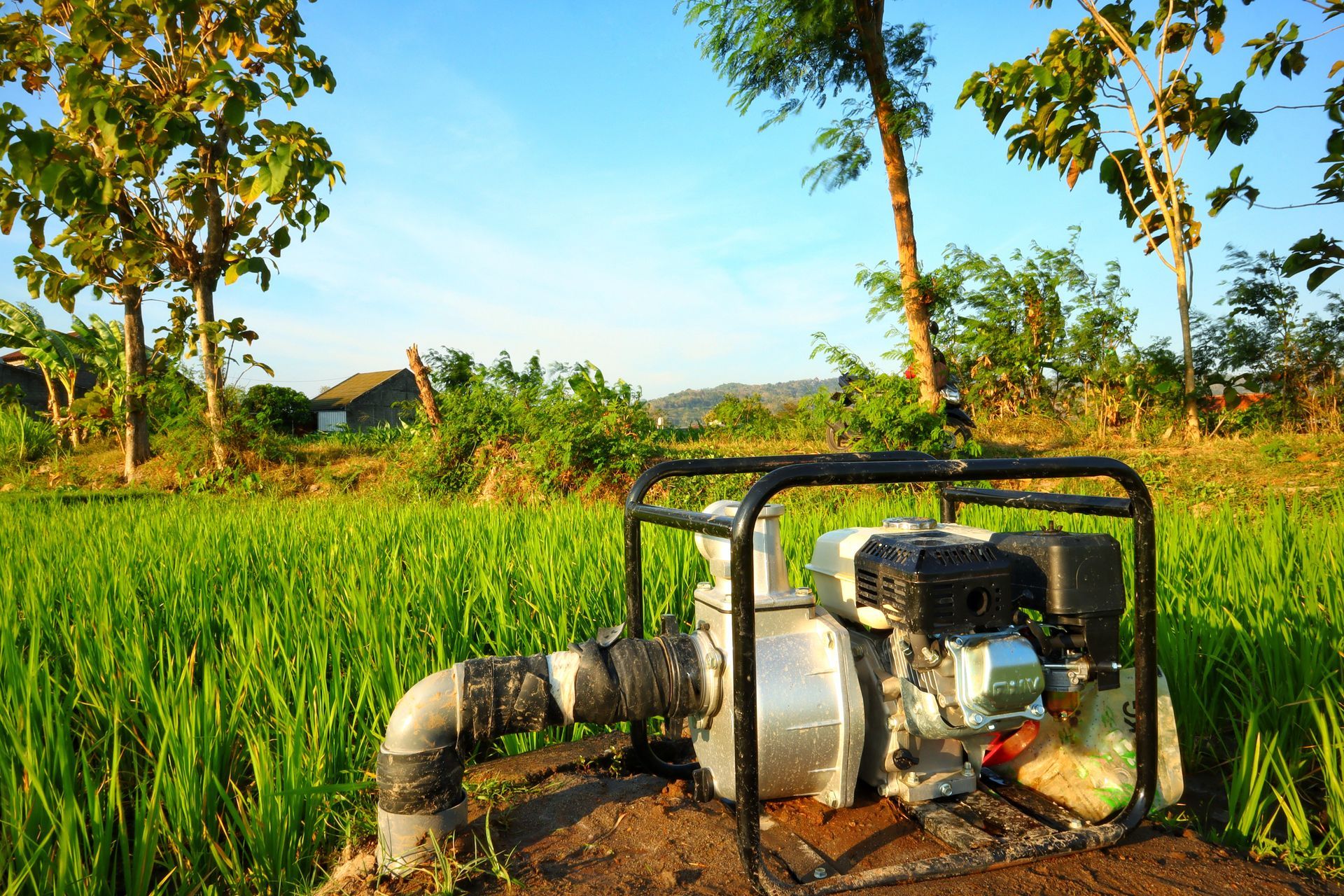 Portable pump beside a rice field, with water pipes and trees under a bright blue sky.