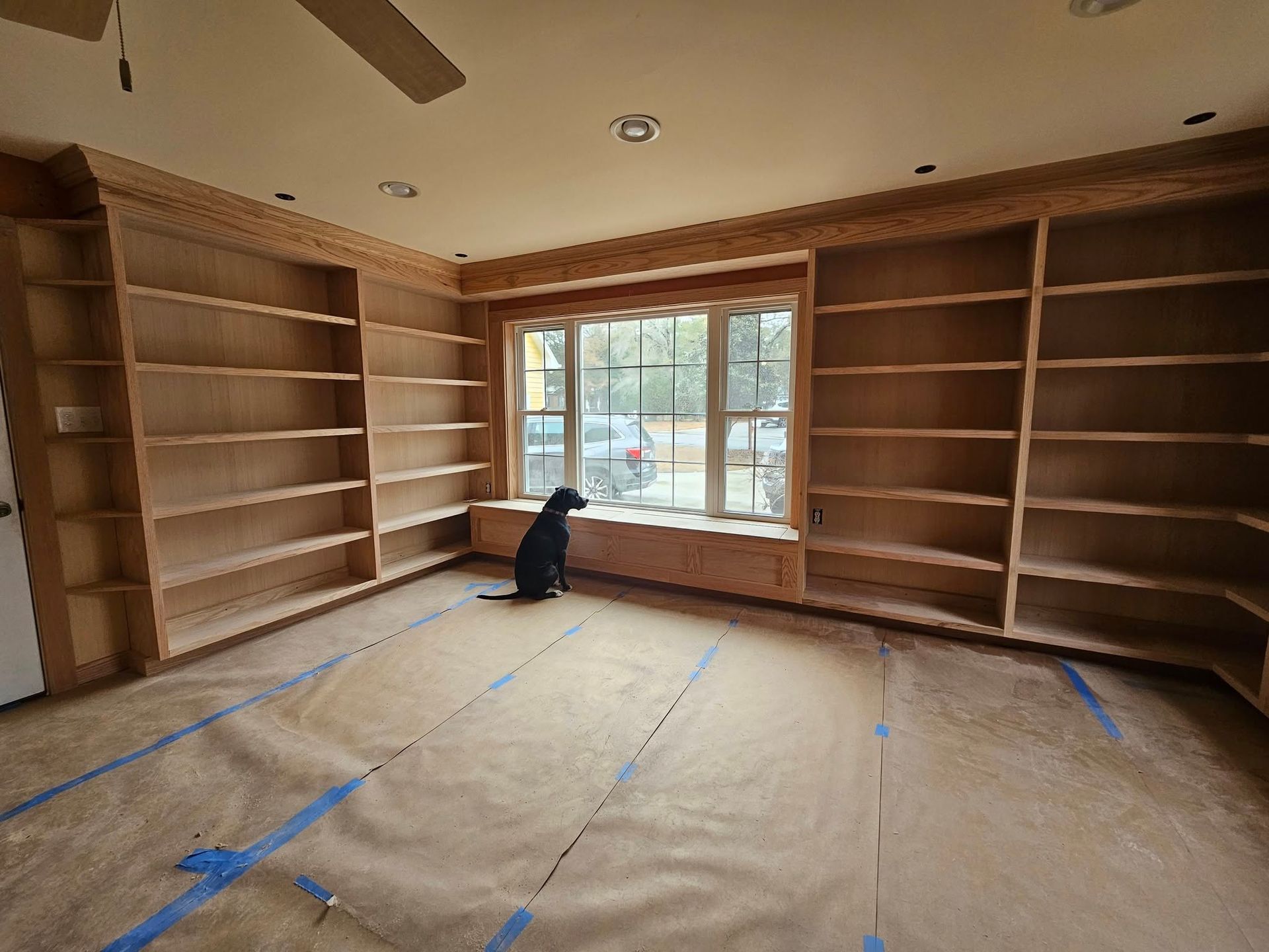 A dog is sitting in a room with lots of shelves and a window.