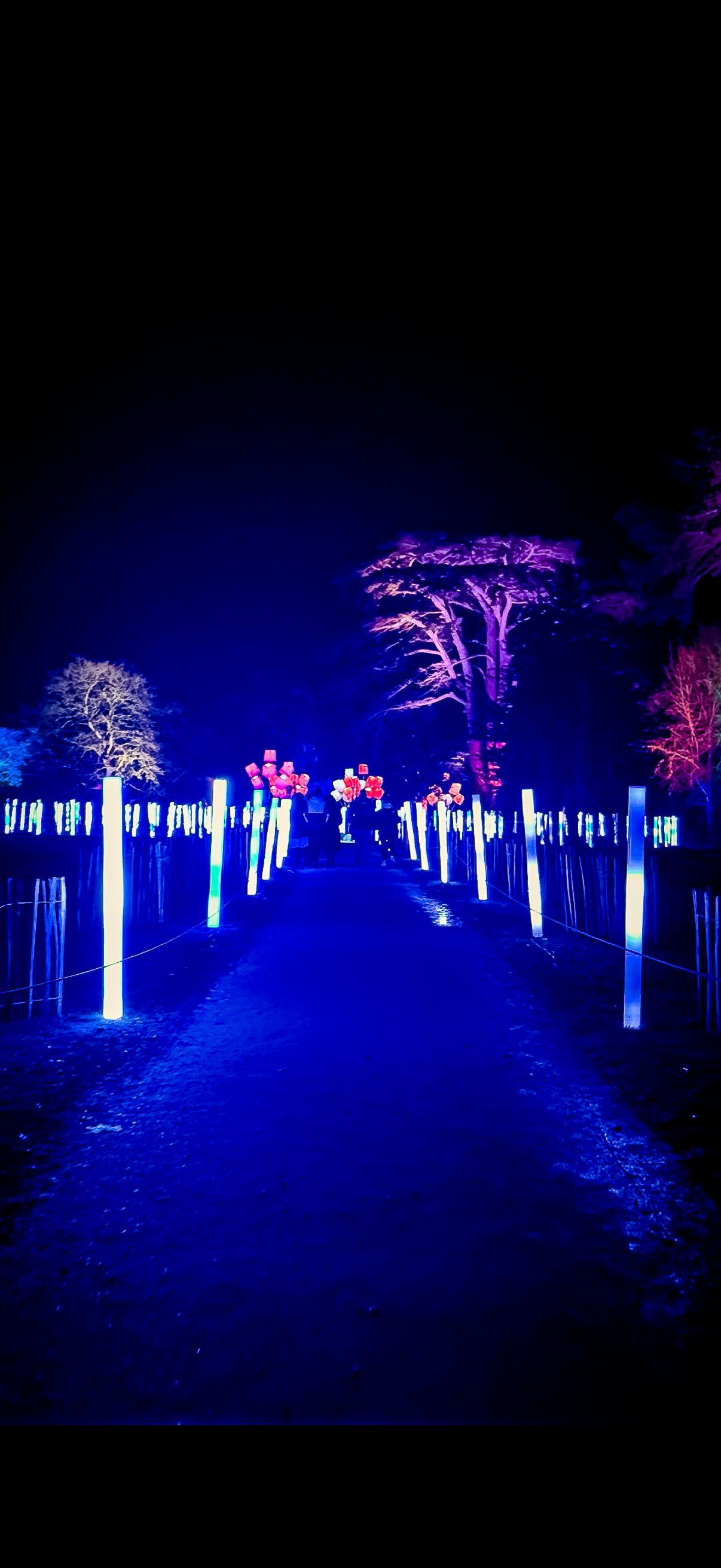 Pixel LED light tubes creating immersive walk-through display with music-synced patterns.
