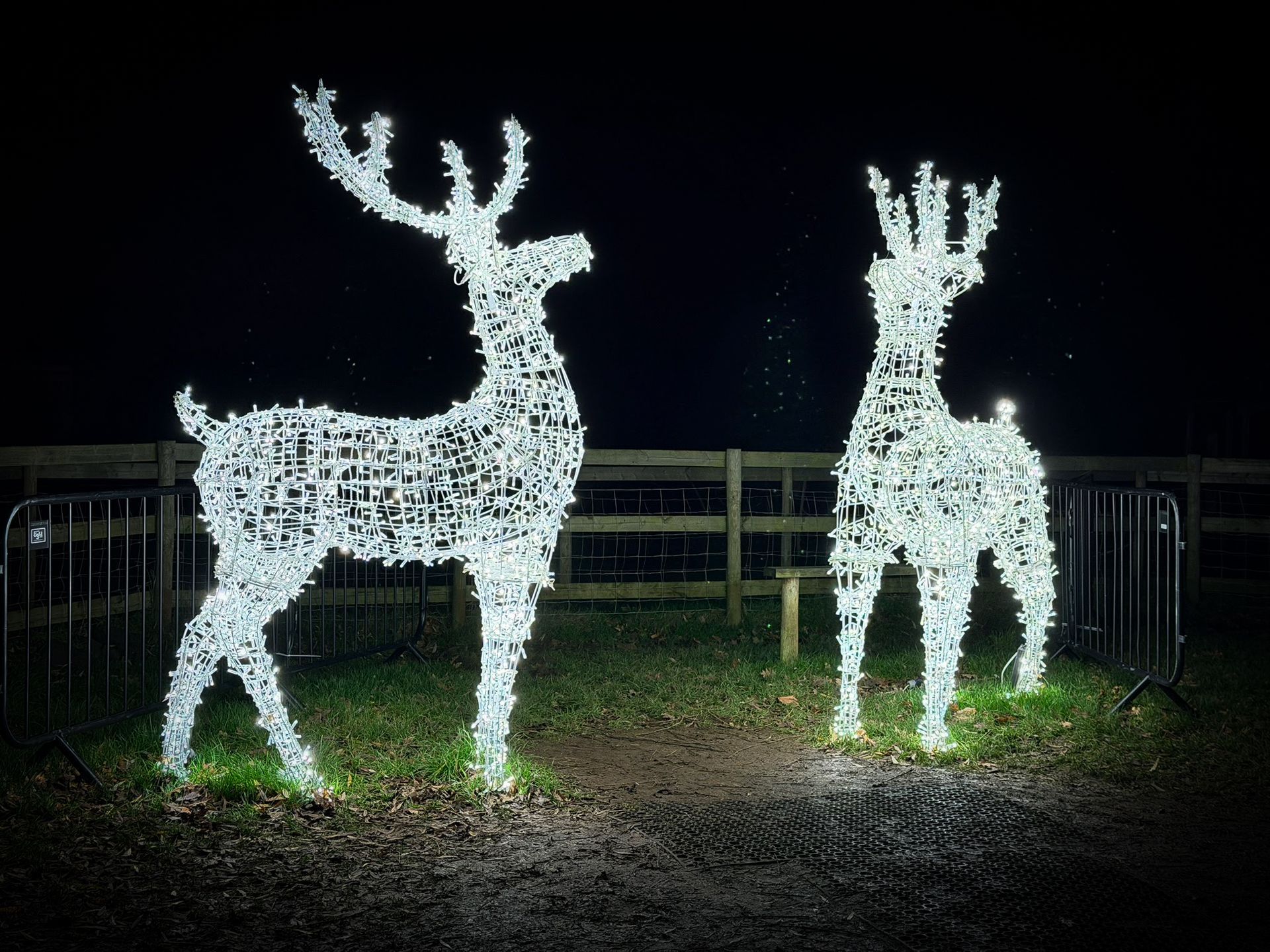 3D light-up reindeer silhouettes for immersive Christmas event display.