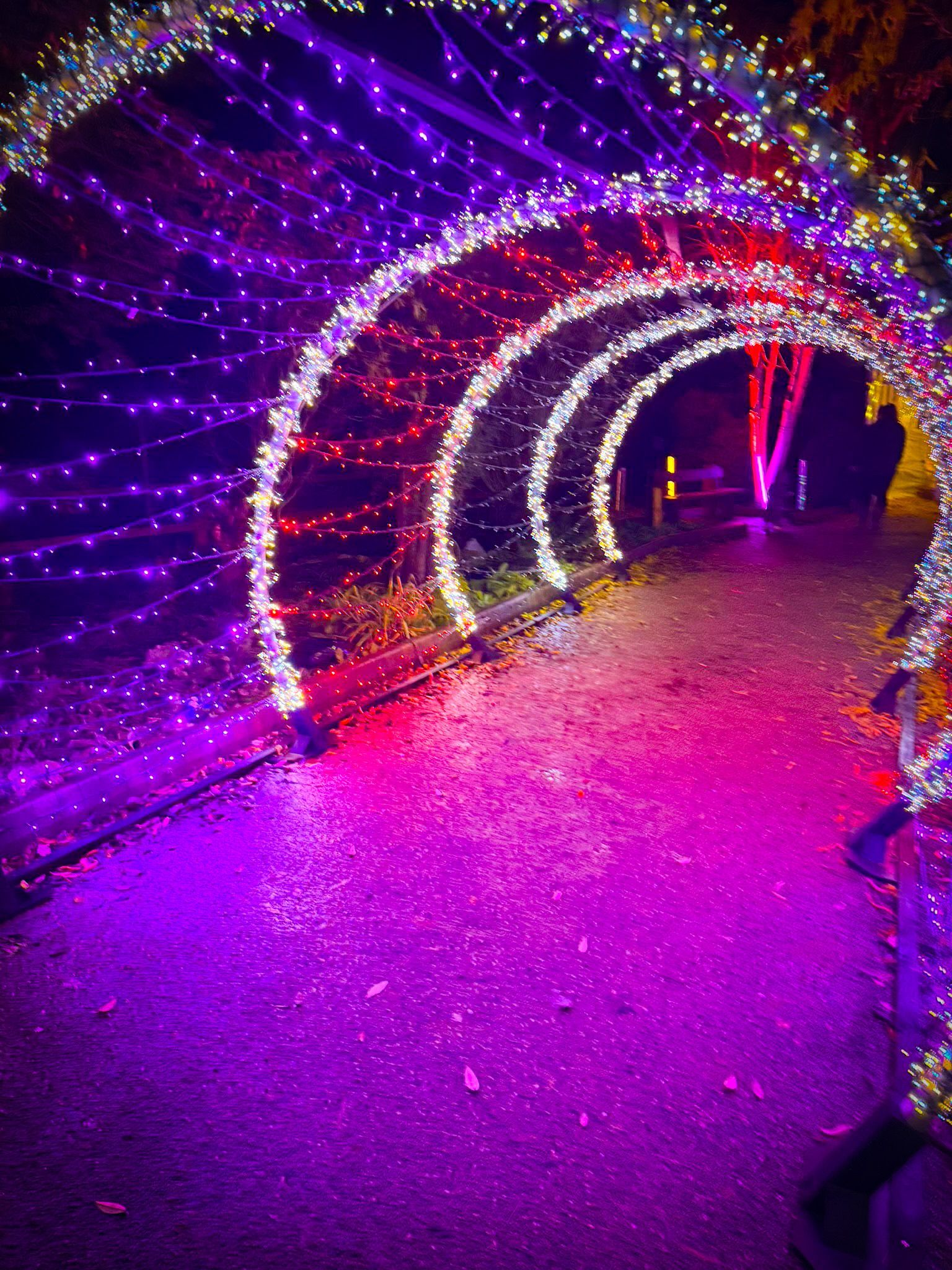 Colourfully lit walkway enhancing immersive atmosphere for event.
