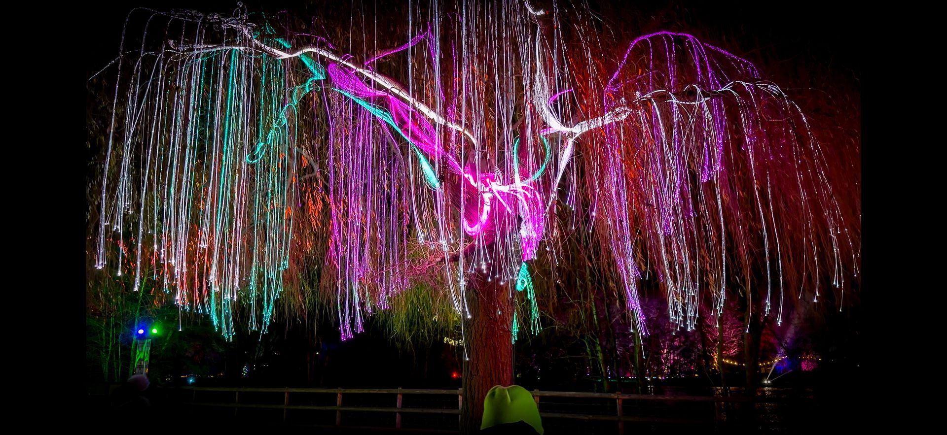 Fiber optic strands hanging in tree with colourful light swaying in breeze.