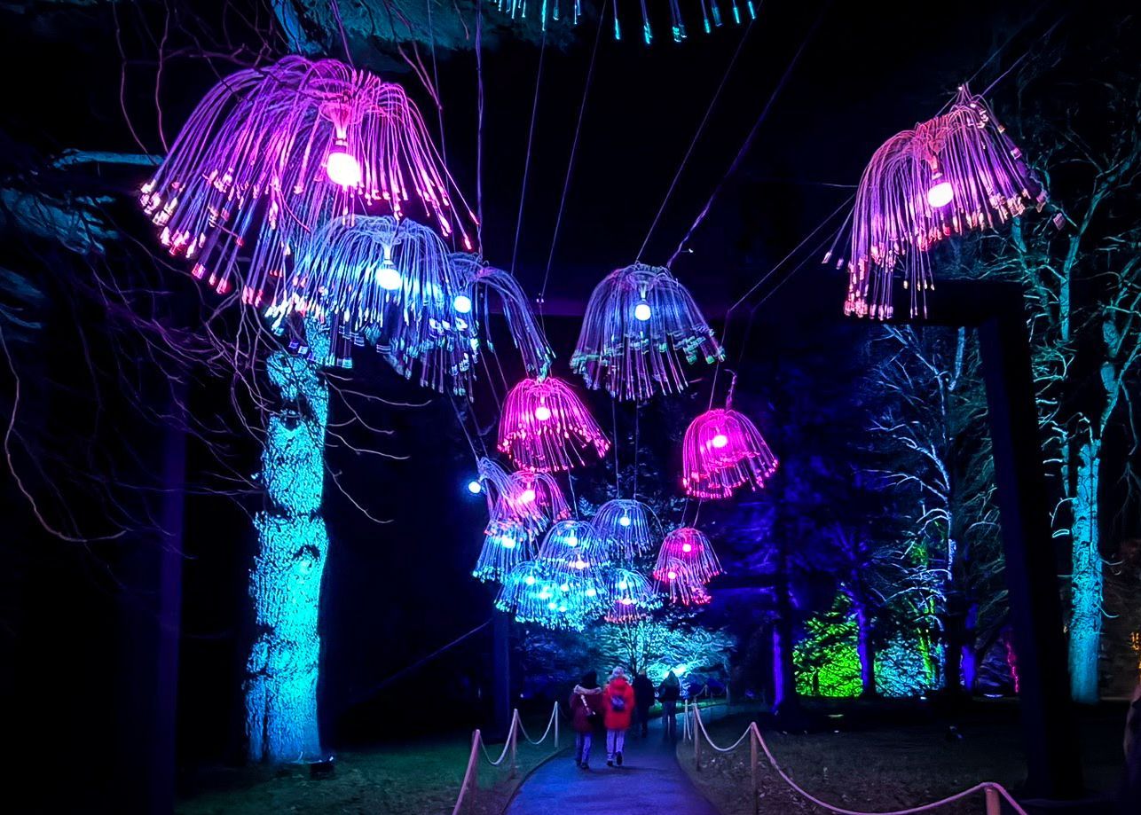 Hanging colour-changing jellyfish lights creating immersive walkway display.