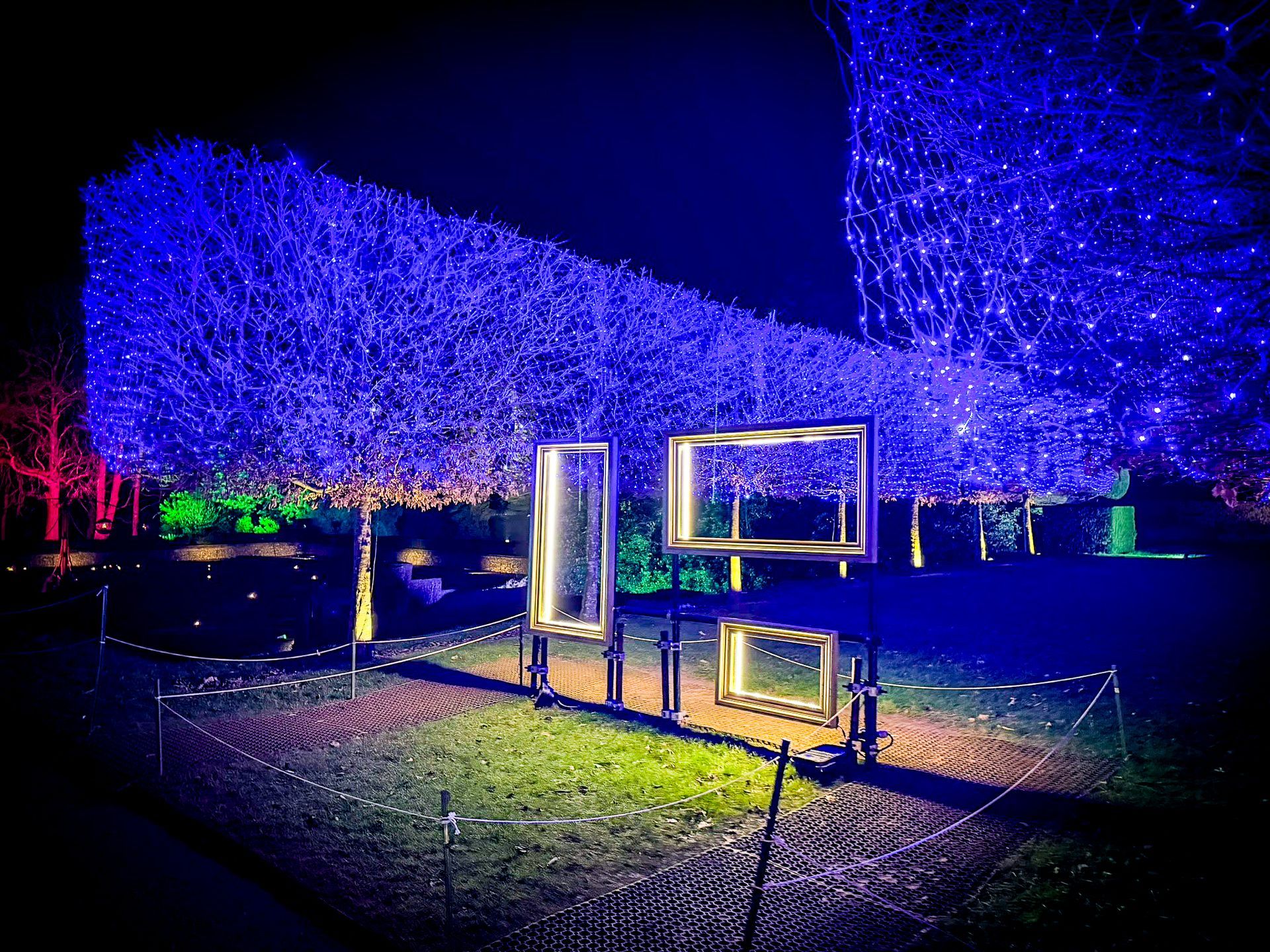 Immersive Christmas light trail using natural venue structures for photo opportunities.