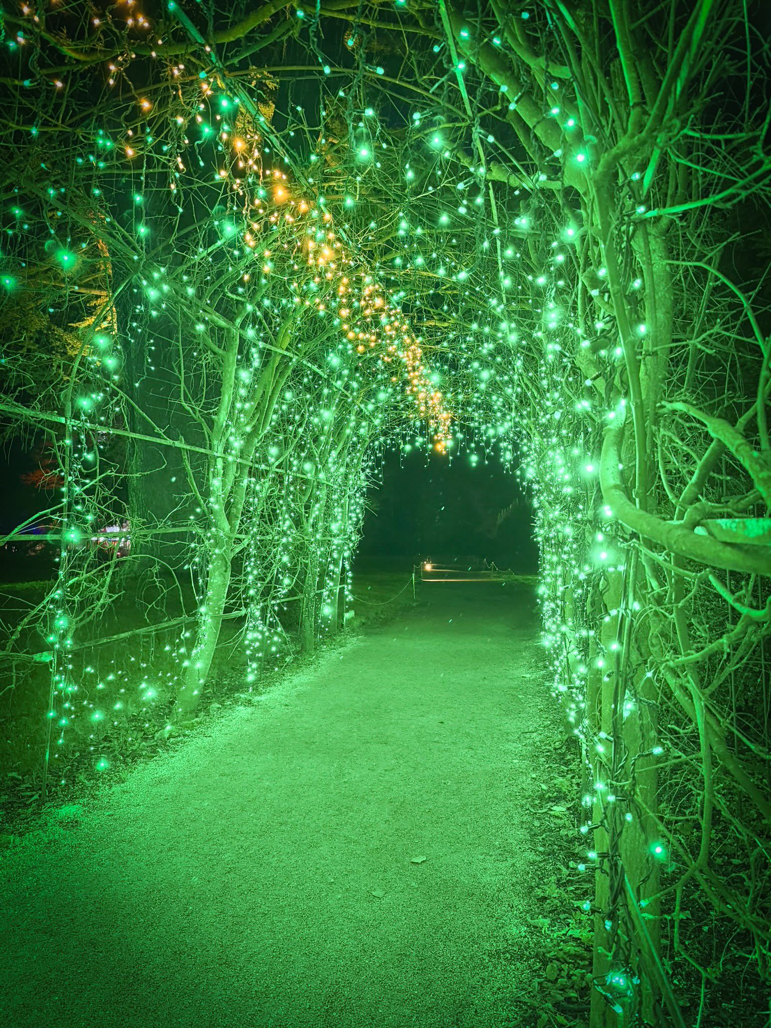 Static single-colour fairy light tunnel with central white accent.