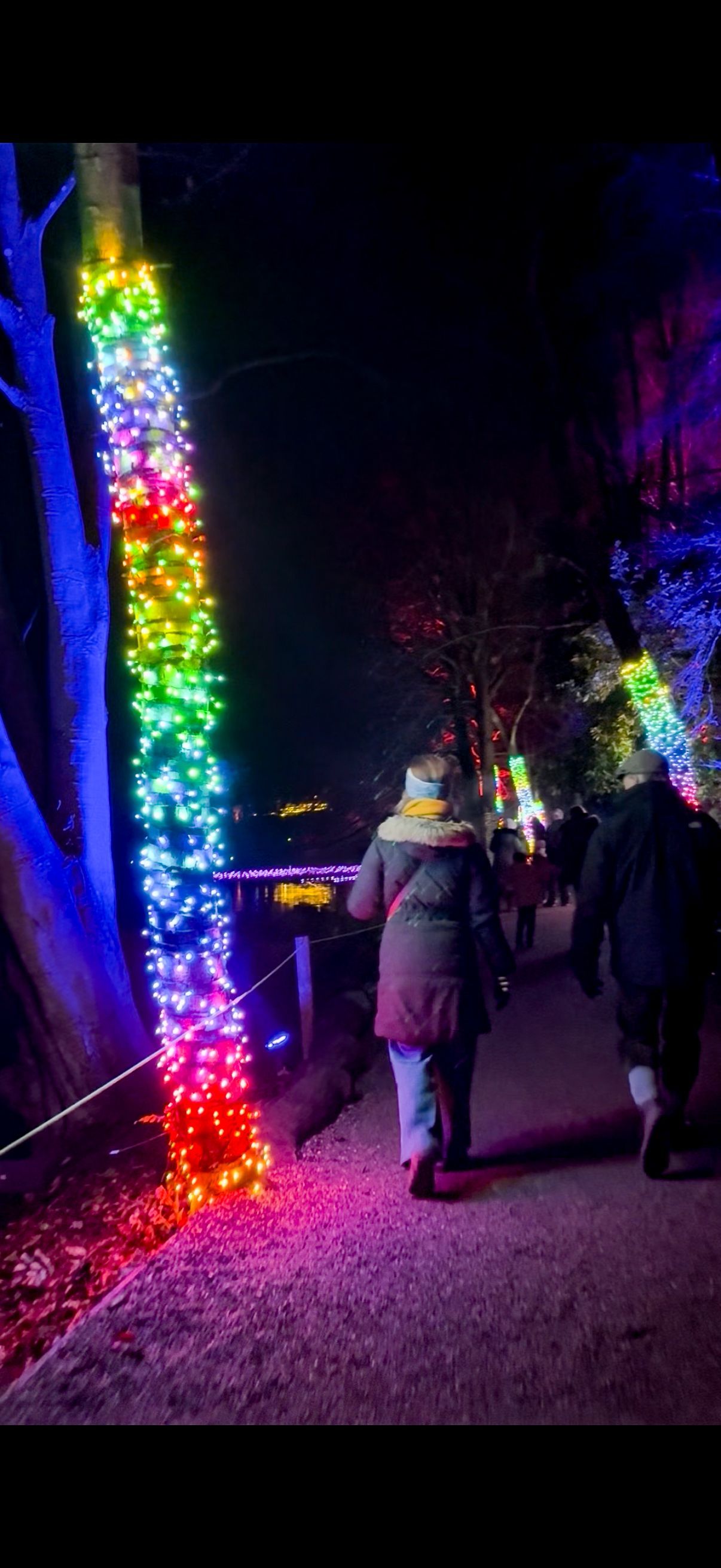Pixel LED lighting with individually controlled colour-changing LEDs for visual effects.