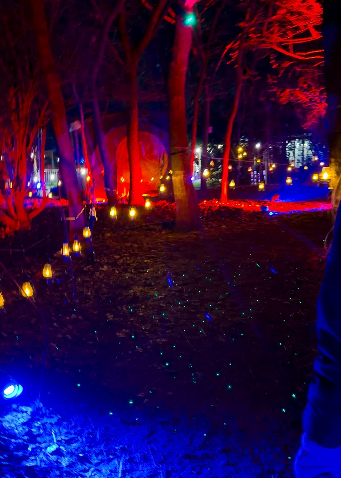 Walkway illuminated with fairy lights, festoons, spotlights, and mini mining lanterns.