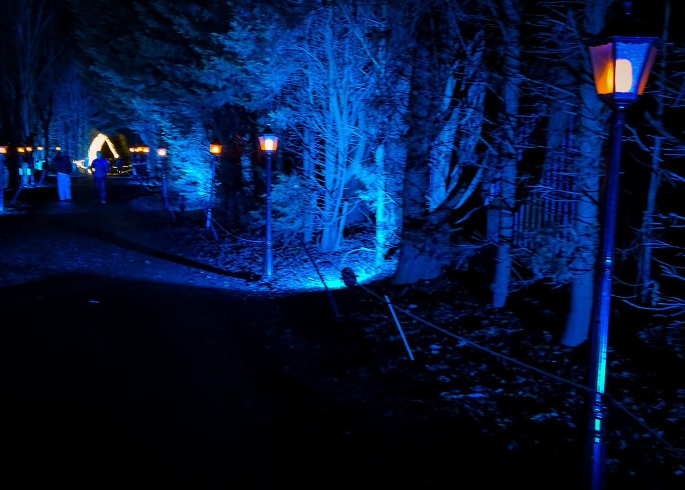Lighting contrast in immersive light trail highlighting bright elements.
