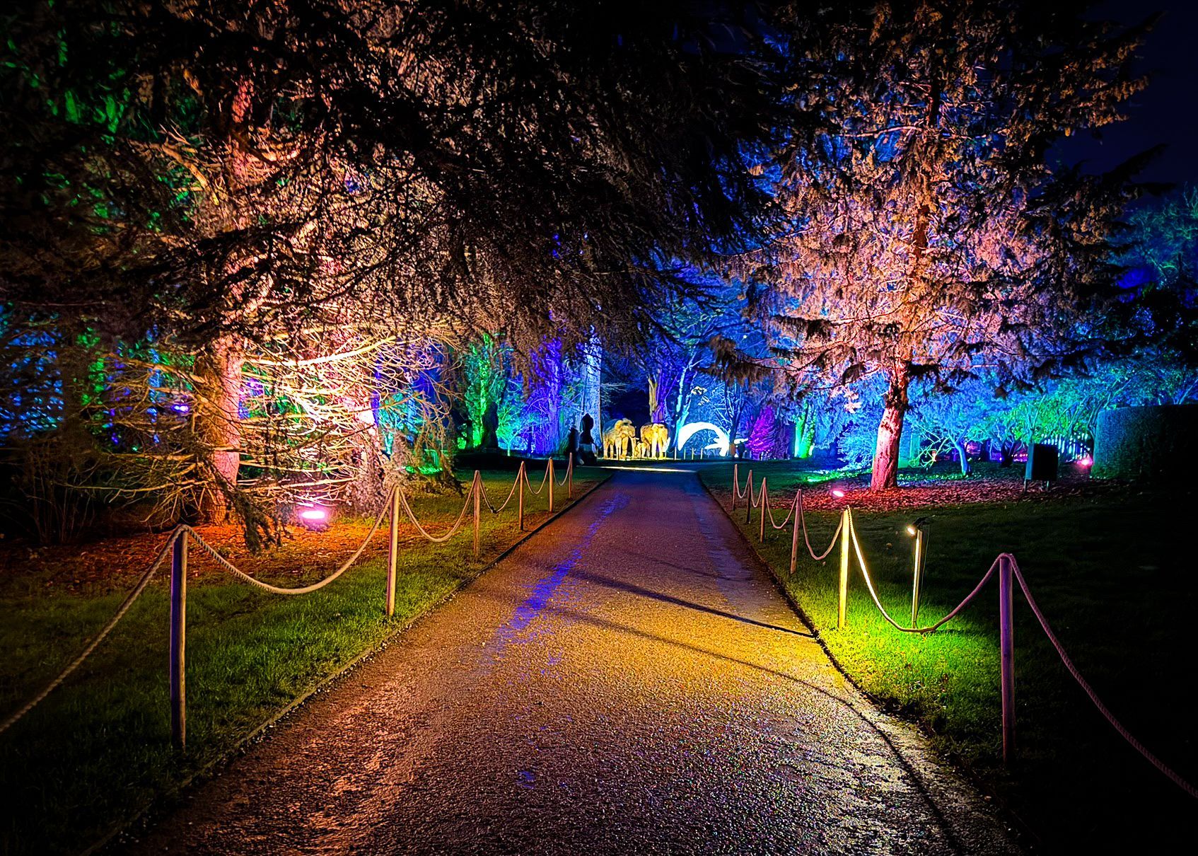 Colourfully lit walkway enhancing immersive atmosphere for event.