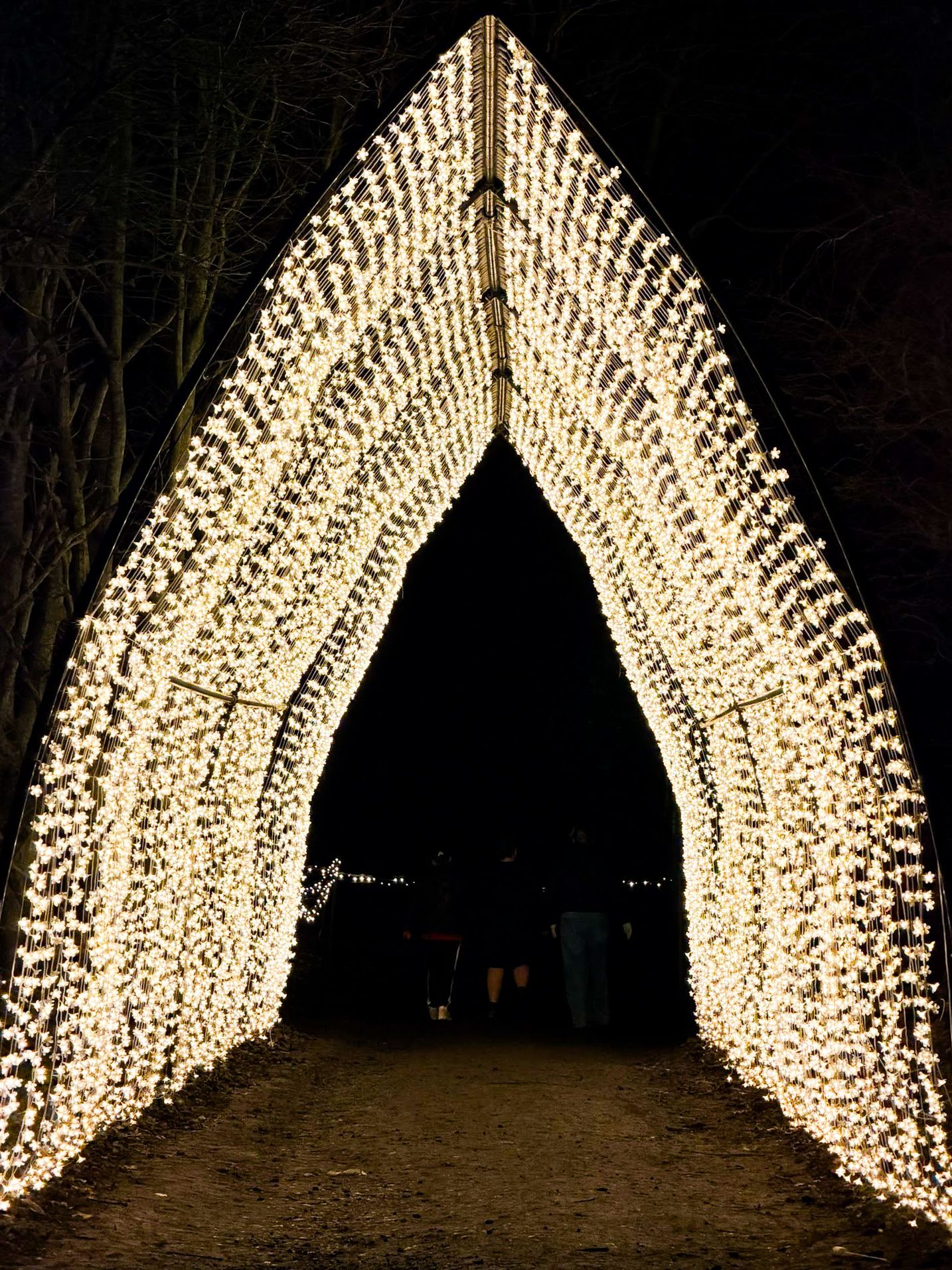 Cathedral arch tunnel wrapped in white fairy lights creating immersive walkway.