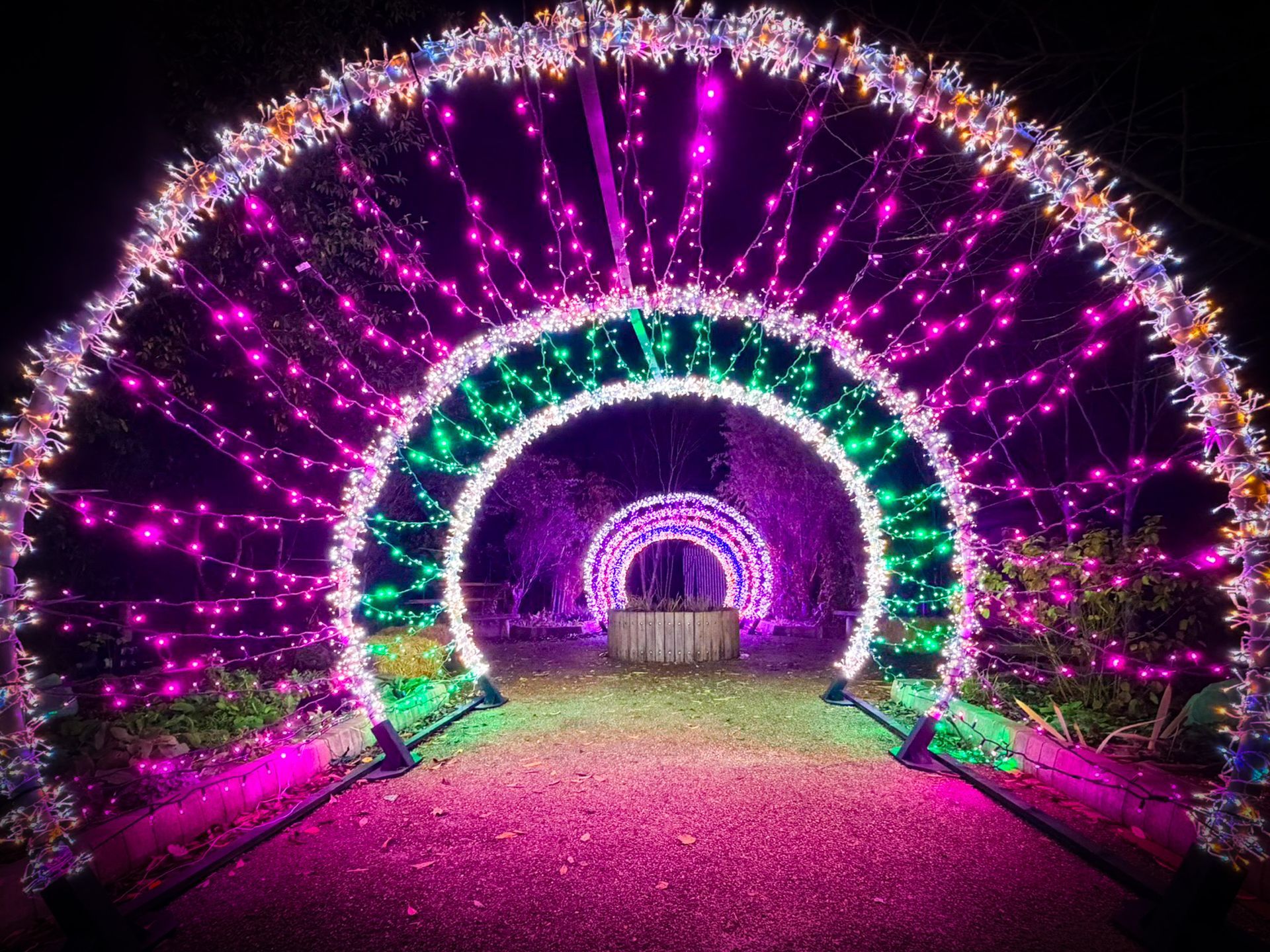 Illuminated tunnel lighting installation for events and light trails.