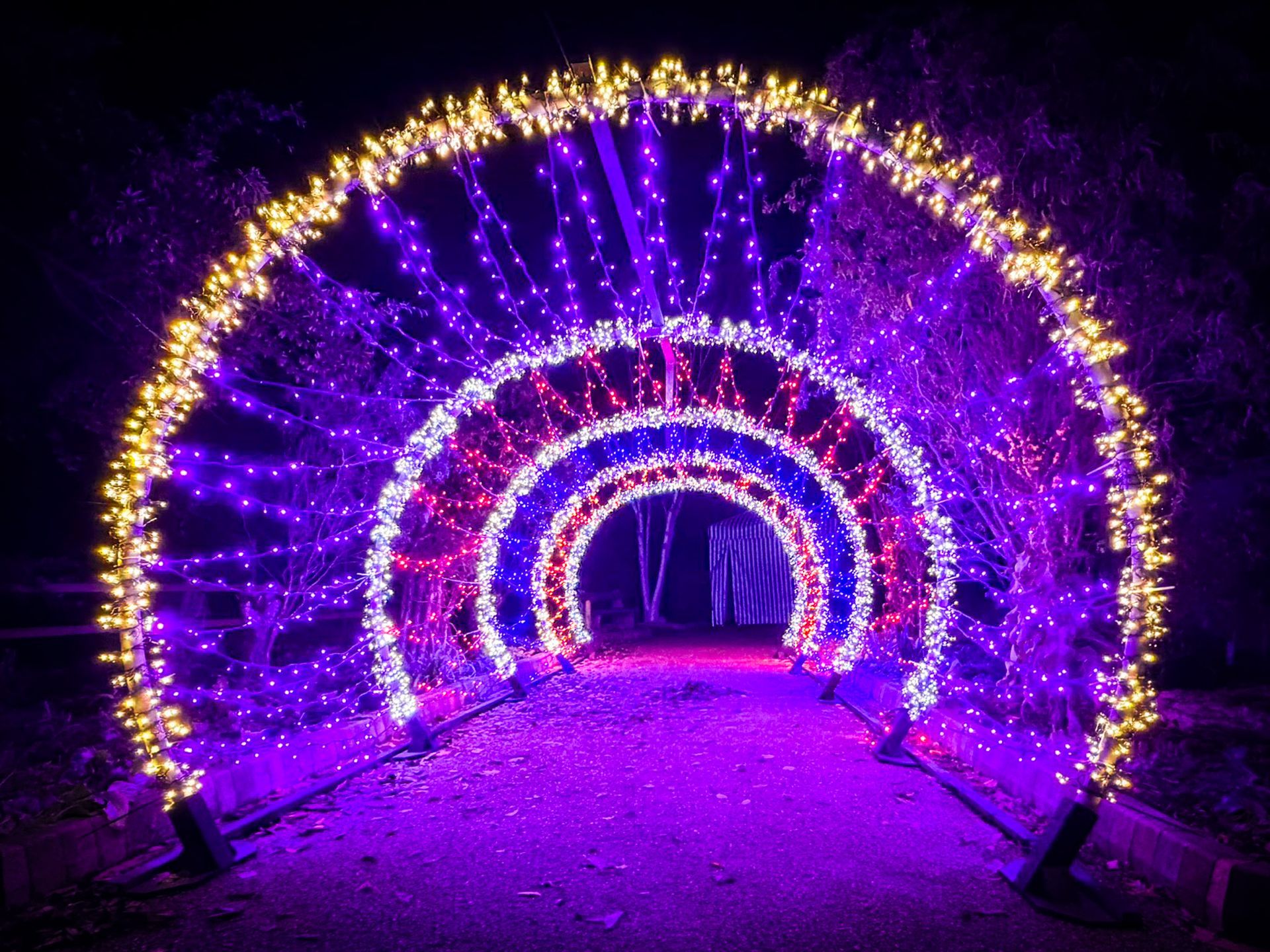Fairy light tunnel An imersive tunnel made of fairy lights as part of a light trail event before christmas