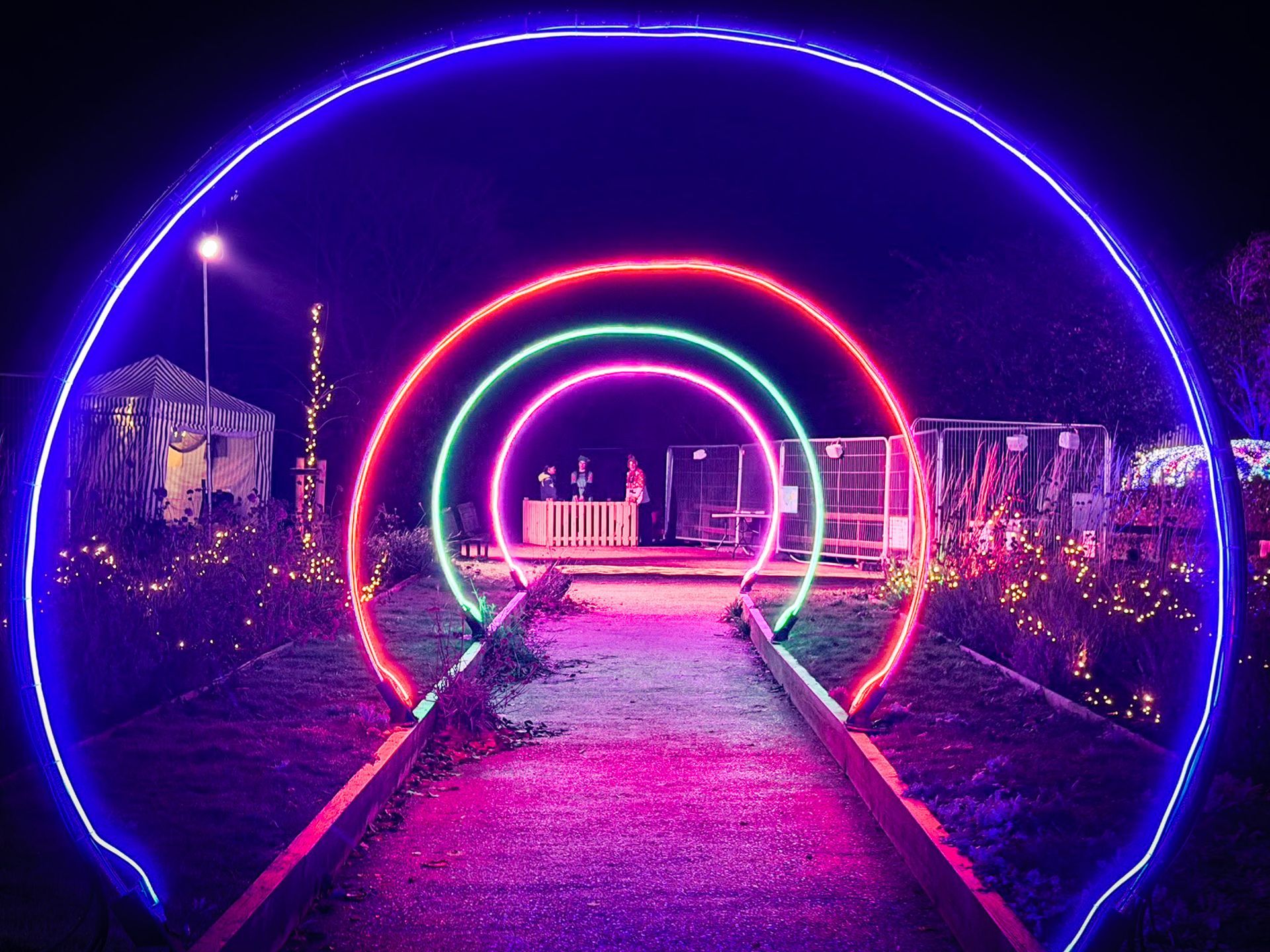 Neon Arches for Christmas Light Trail A tunnel of light up neon arches at a christmas light trail event.