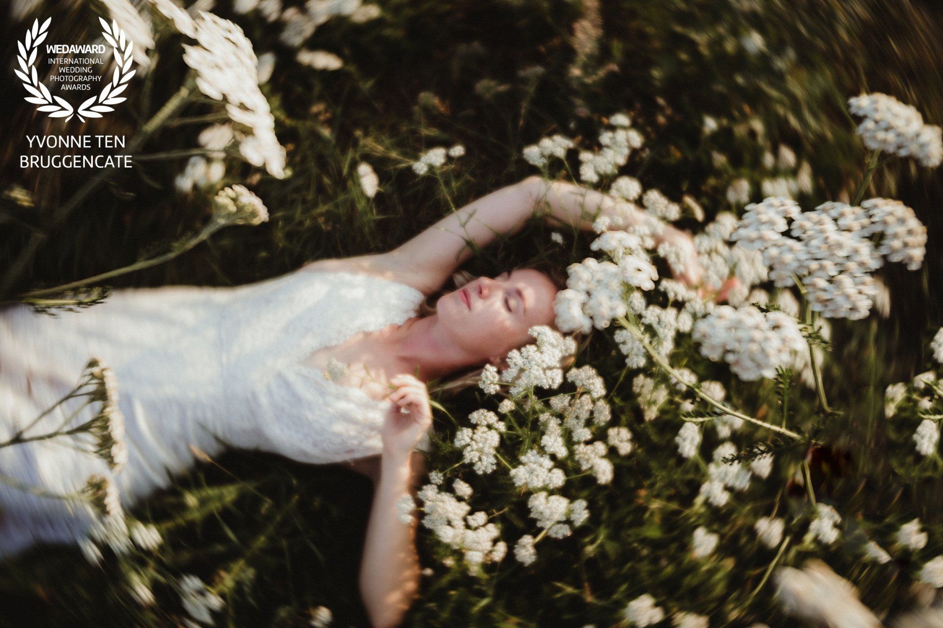 Een vrouw in een witte jurk ligt in een veld met witte bloemen.