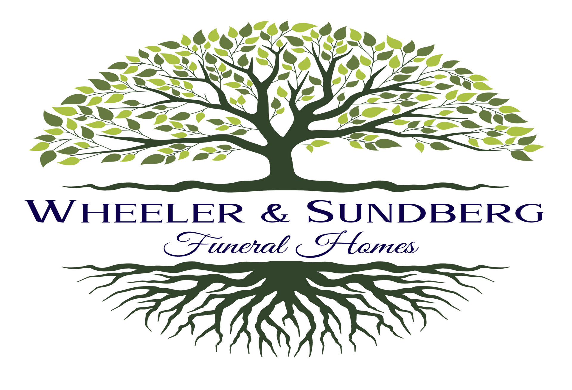 logo-image
