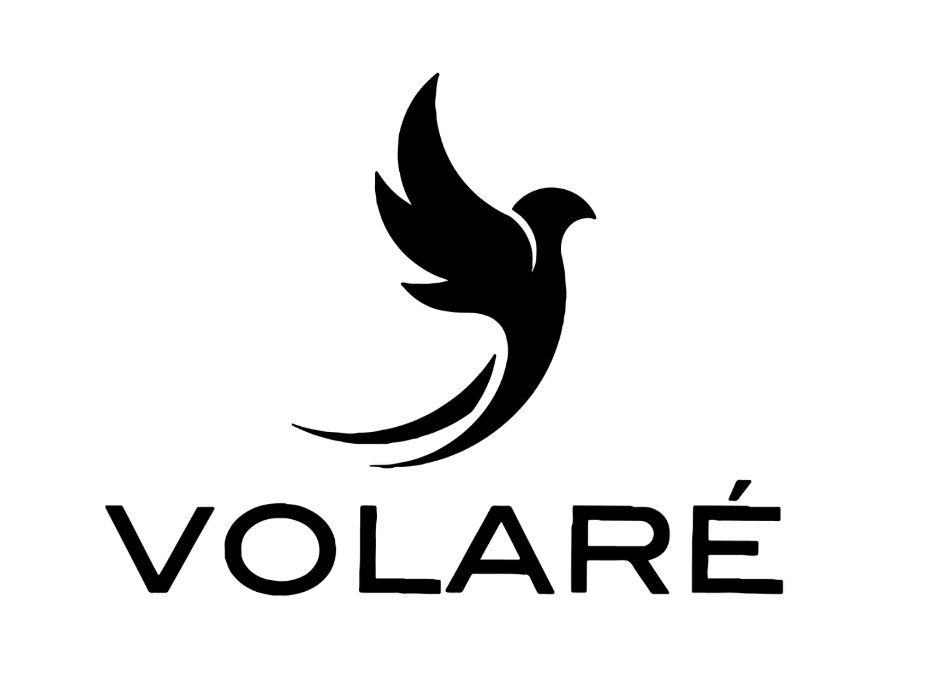 Zwart vogellogo boven het woord