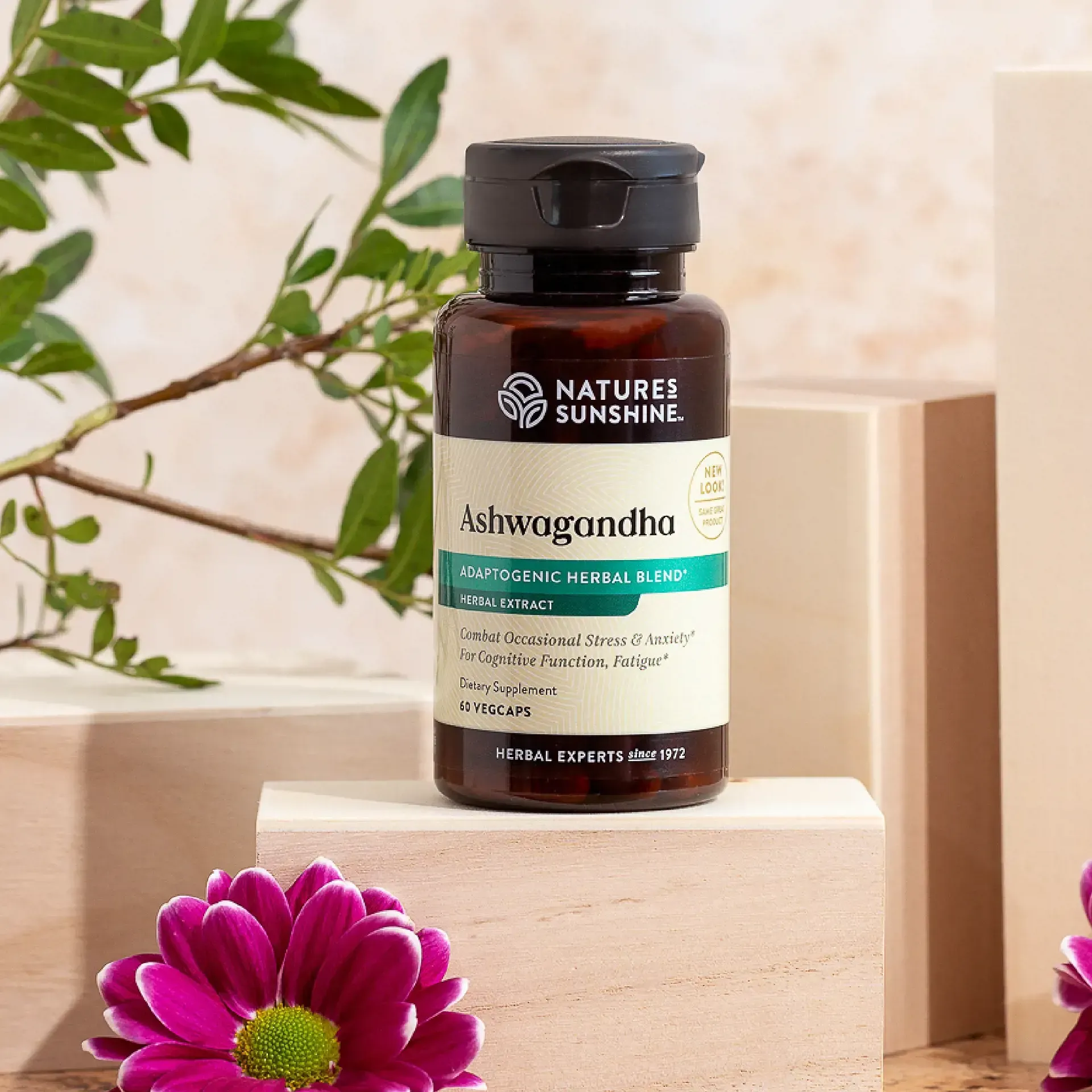 Potent; adaptogenic herbs; Ashwagandha; stabilizes stress response; physical performance
