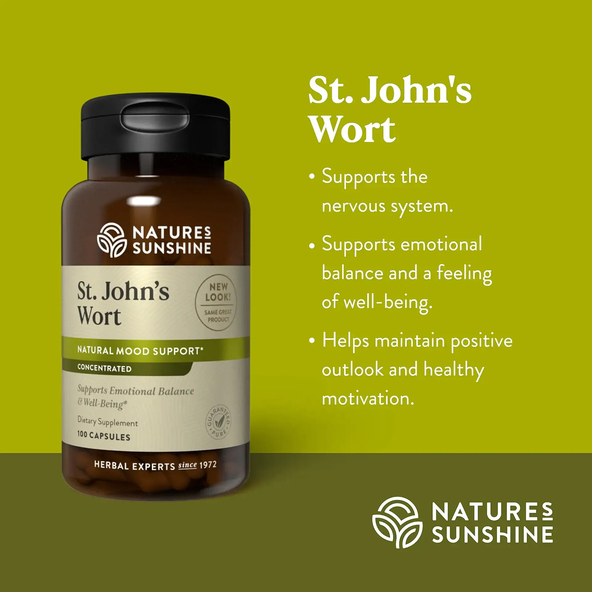 bottle of the herb St. John's Wort. Concentrated in capsule form