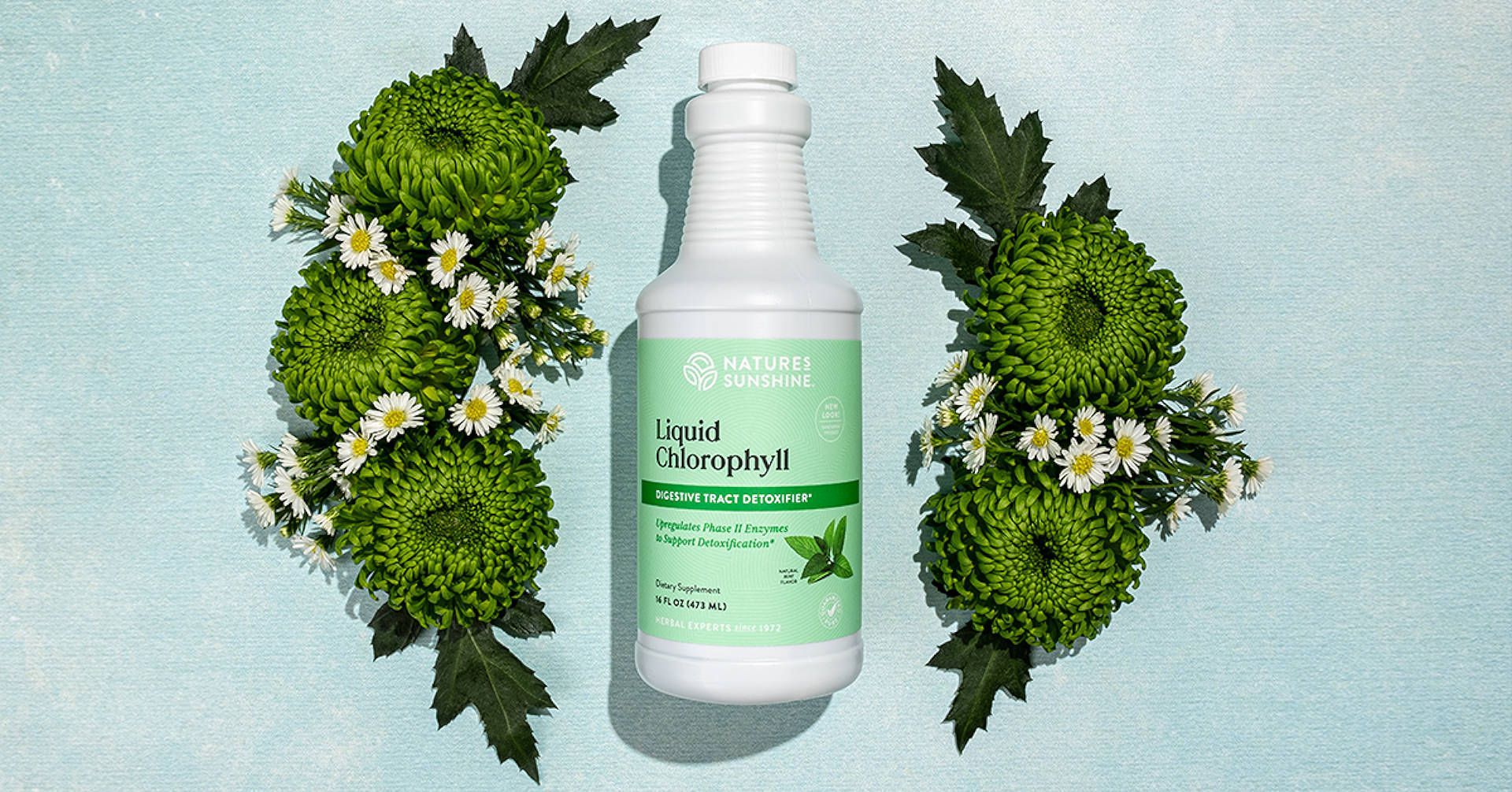 Bottle of digestive solution centered between green flowers and leaves on a light blue background.