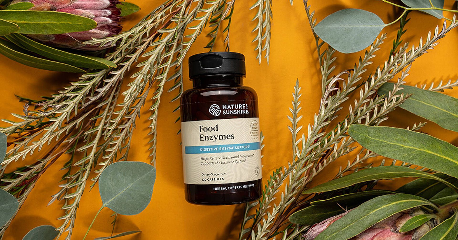 NSP bottle of pills with greenery decorations for food enzymes