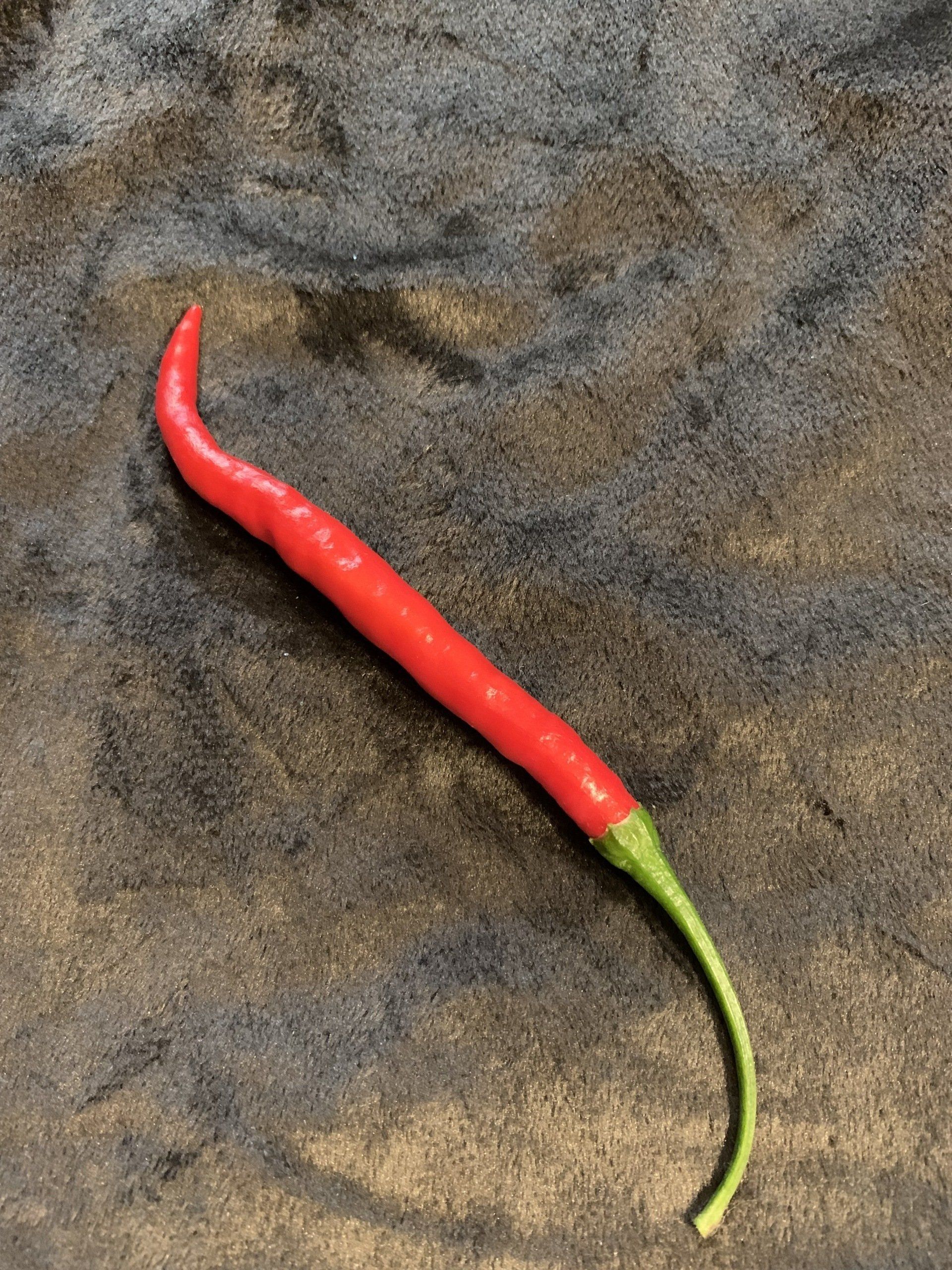 a red pepper with a green stem is laying on a gray surface